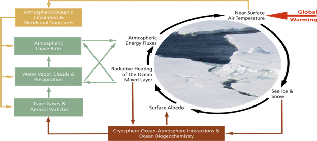Illustration of Amplification Effects